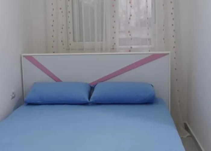 Alket For Rent *