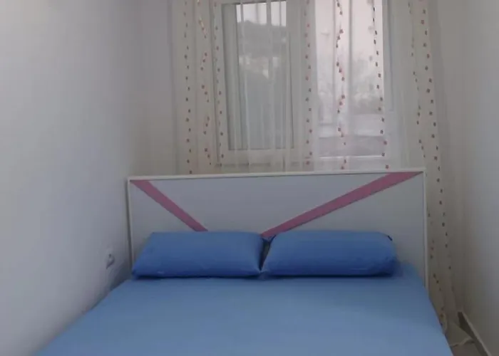 Alket For Rent *